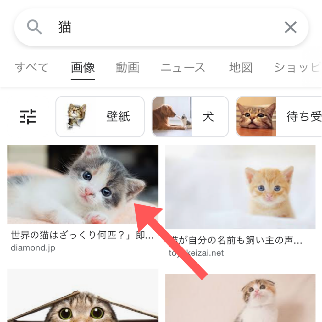 スクリーンショット：Google画像検索のやり方(検索結果の画像をもとに検索する)_手順3