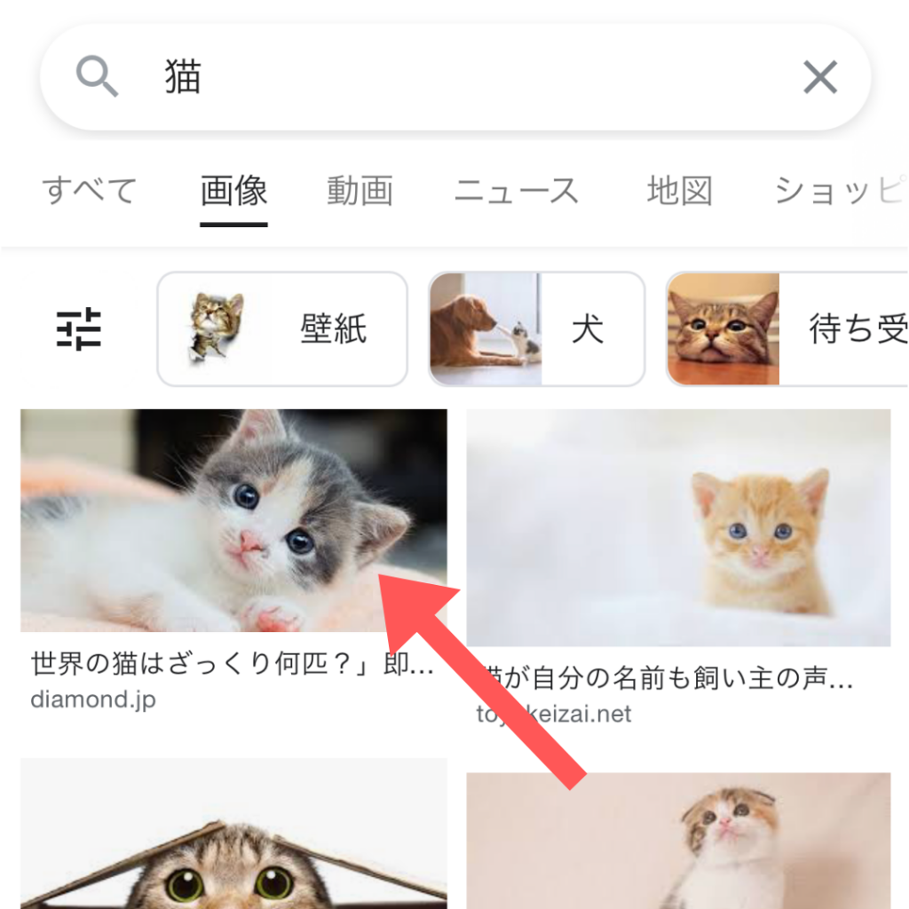 Google グーグル 画像検索を使いこなそう スマホ Pcでの基本をご紹介 Marketrunk