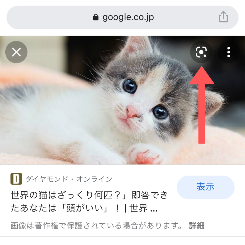 Google グーグル 画像検索を使いこなそう スマホ Pcでの基本をご紹介 Marketrunk