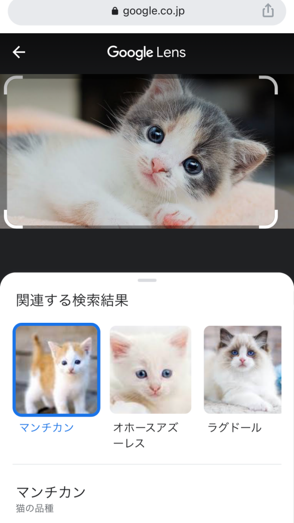 スクリーンショット：Google画像検索のやり方(検索結果の画像をもとに検索する)_手順5