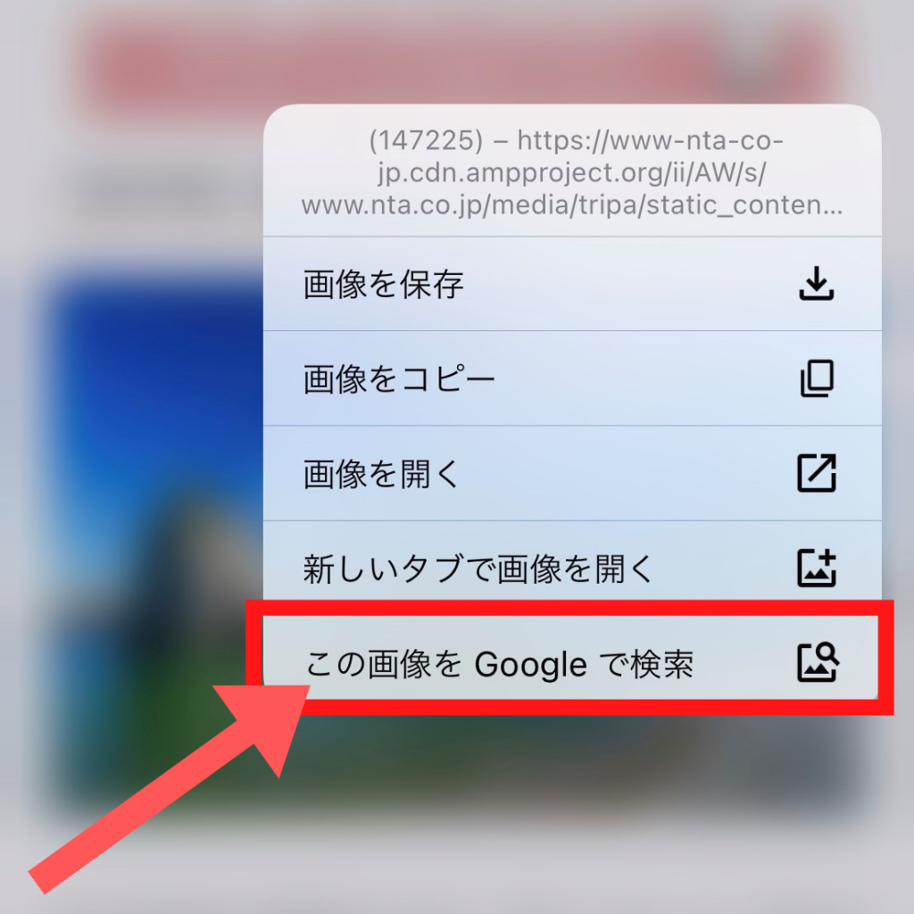 スクリーンショット：Google画像検索のやり方(Web上の画像から検索する)_手順2