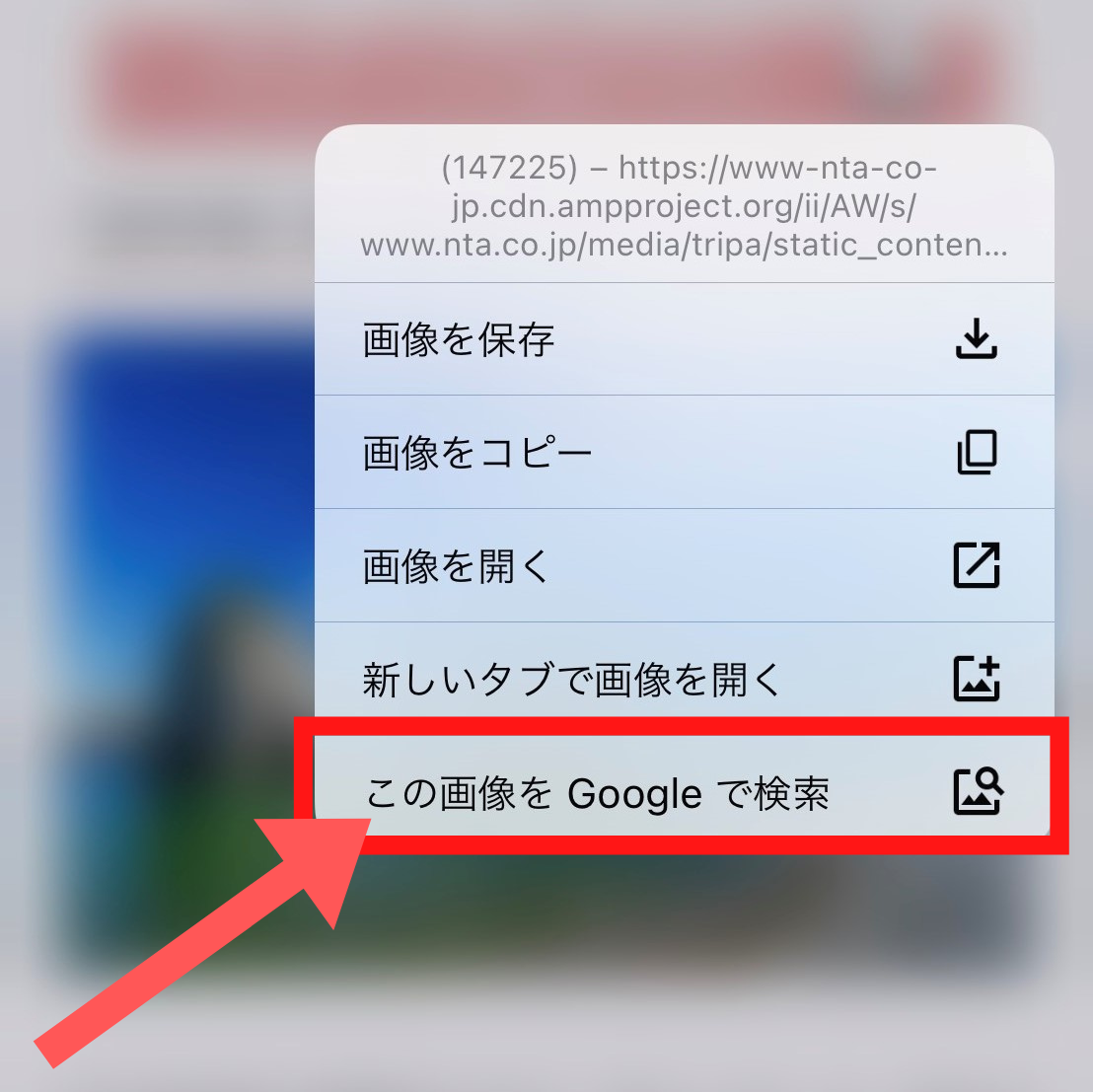 Google画像検索のやり方！スマホ（iPhone・android）とPC別に詳しく解説 | MarkeTRUNK
