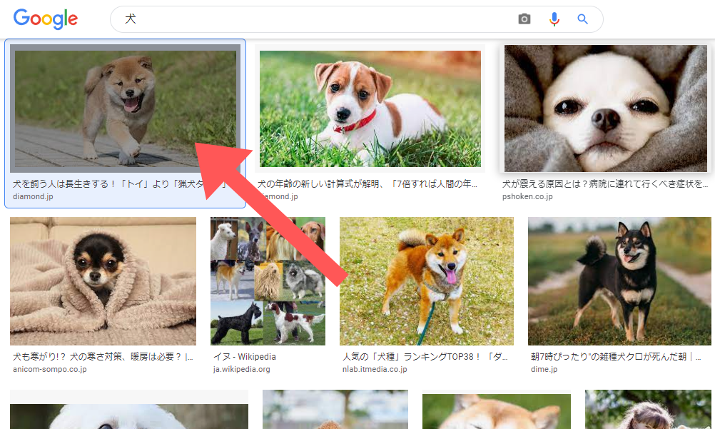 スクリーンショット：Google画像検索のやり方(検索結果の画像をもとに検索する)_手順3