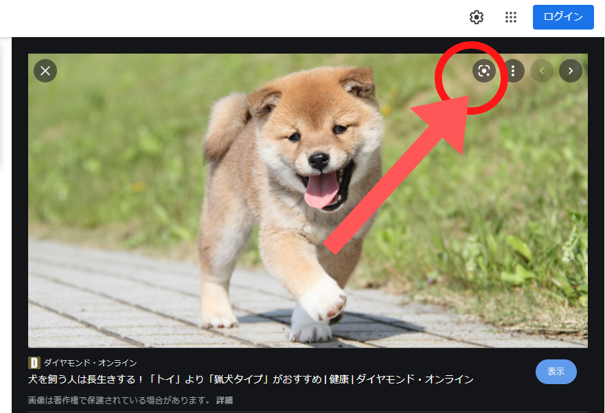 スクリーンショット：Google画像検索のやり方(検索結果の画像をもとに検索する)_手順4