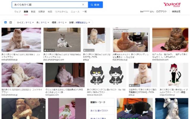 スクリーンショット：Yahoo! の画像検索で類似画像を検索する方法_検索結果