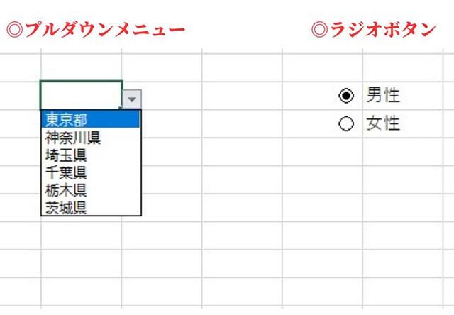 スクリーンショット：プルダウンメニューとラジオボタンの違い