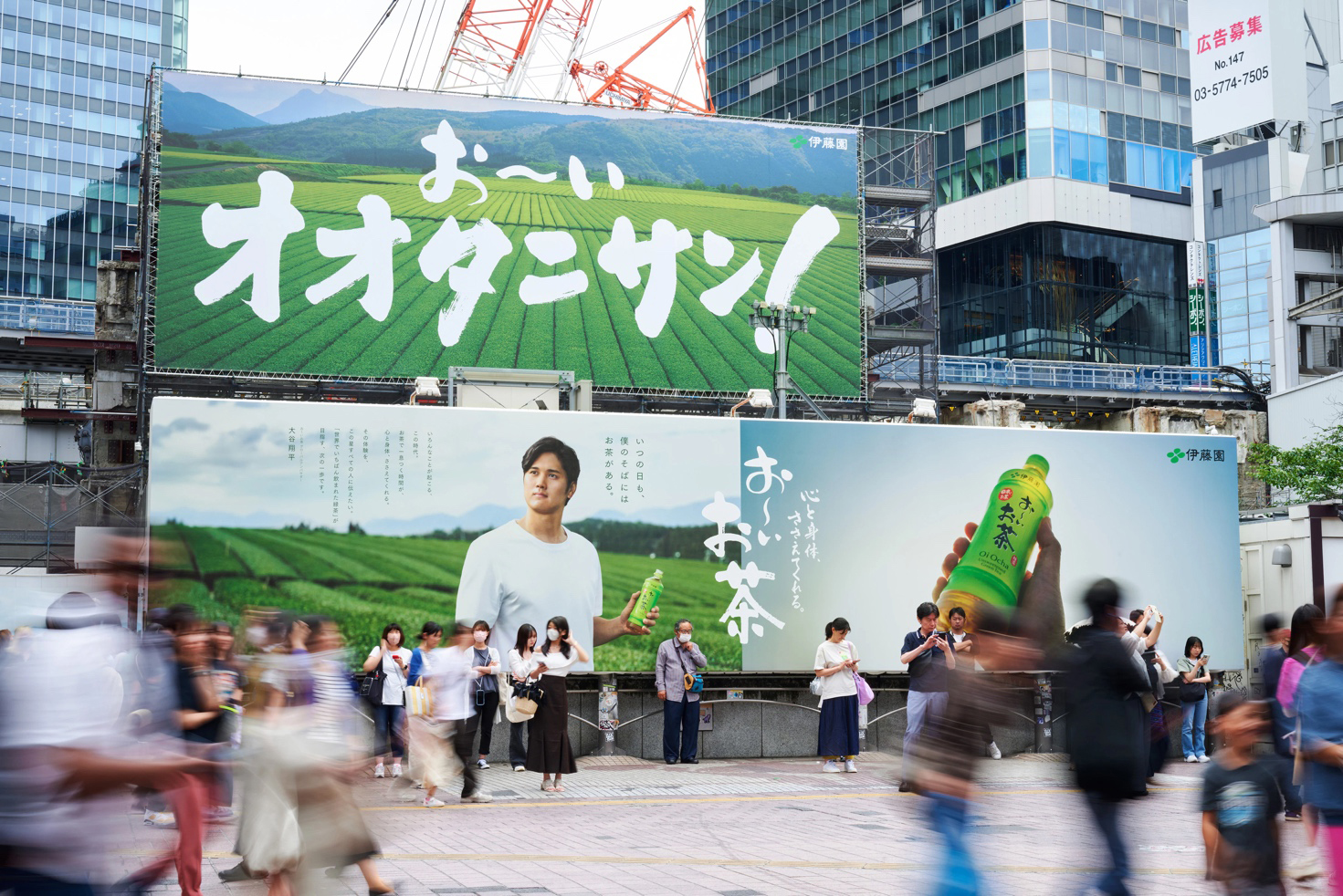 大谷翔平選手と『お～いお茶』によるグローバルキャンペーン「お～い